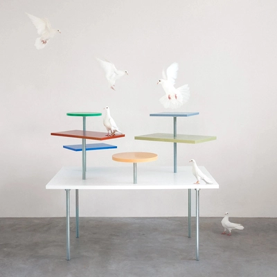 Pigeon Table, Laila Gohar and Muller Van Severen